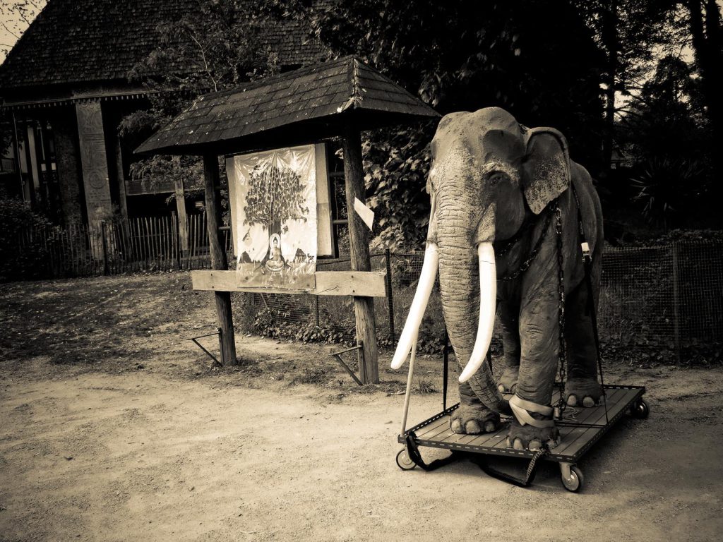 L’éléphant à roulettes, bois de Vincennes
