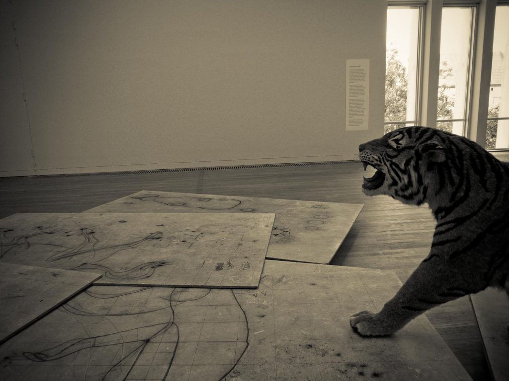 Tigre empaillé au musée