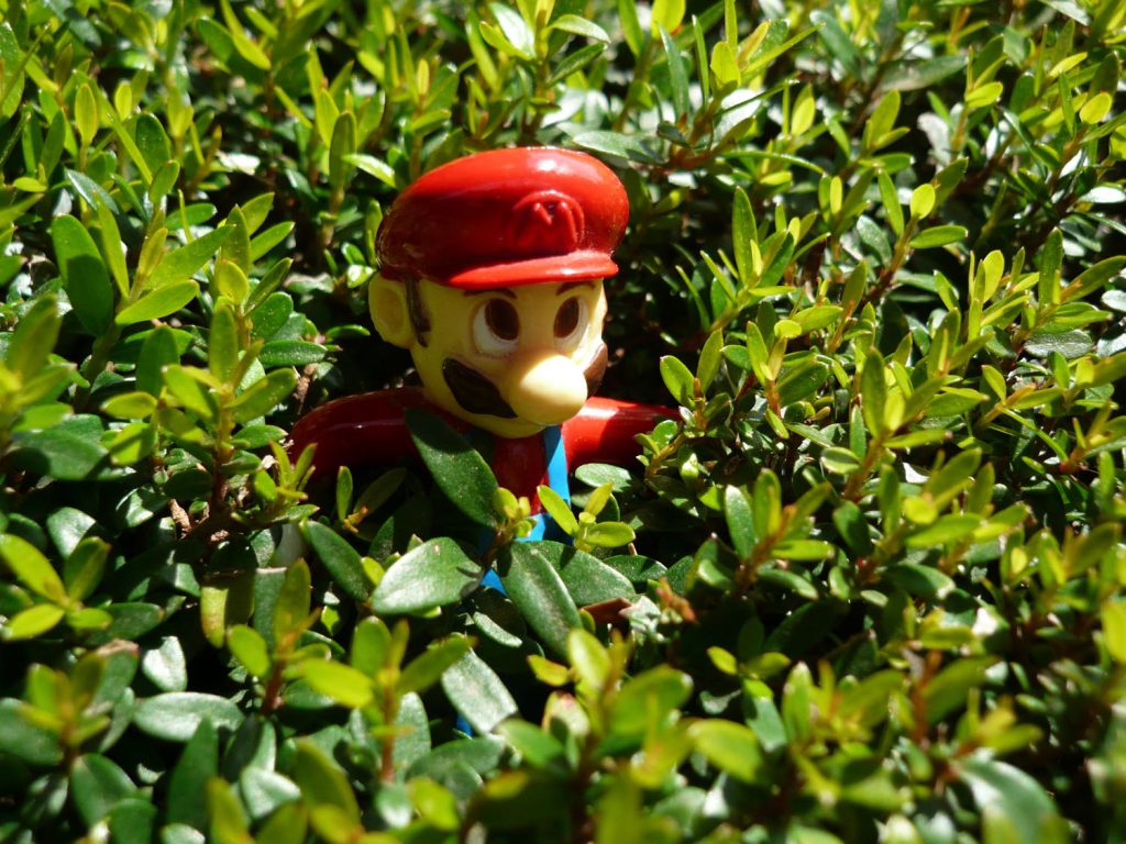 Super Mario dans un buisson