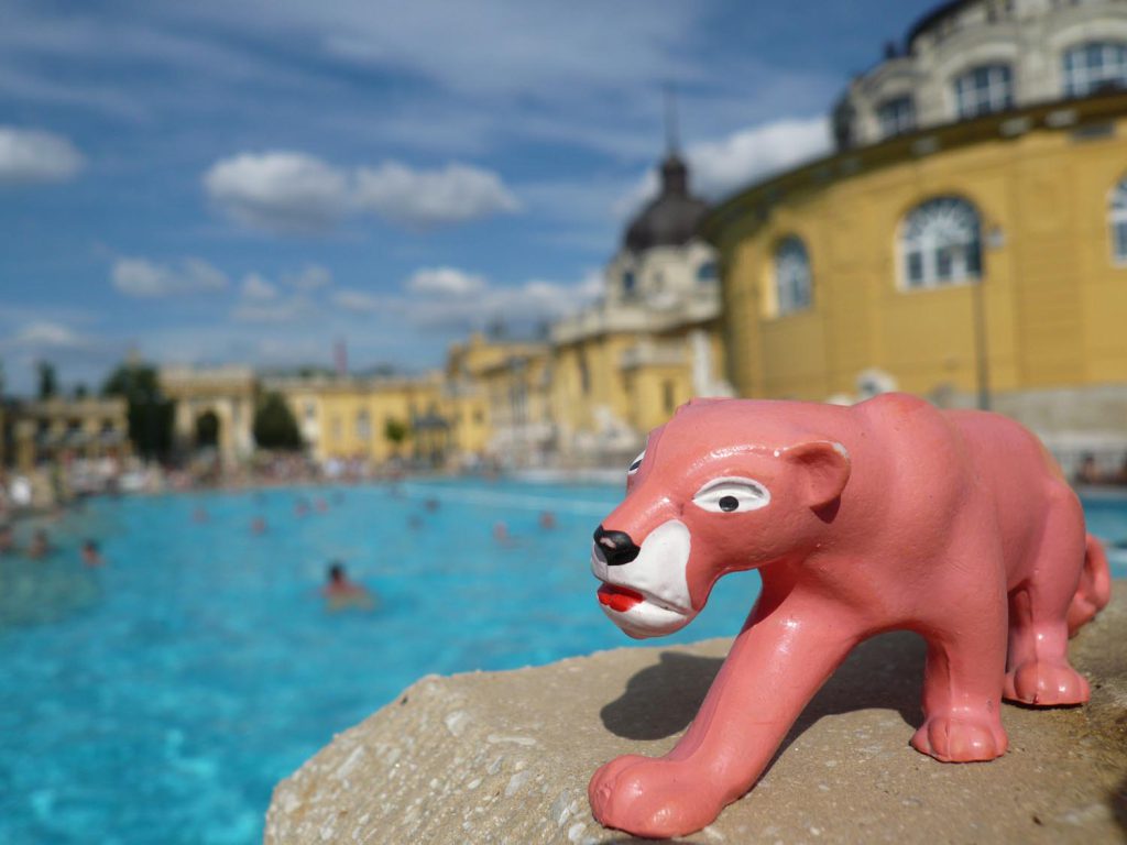 La panthère rose aux bains Széchenyi à Budapest