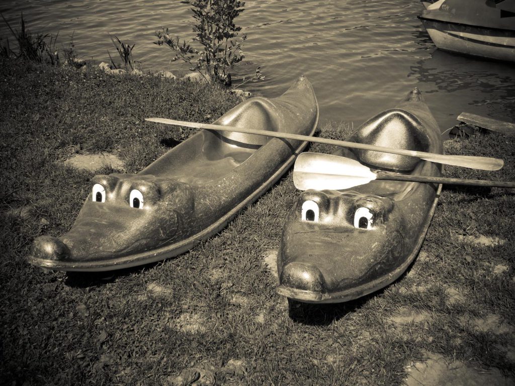 Canoës croco